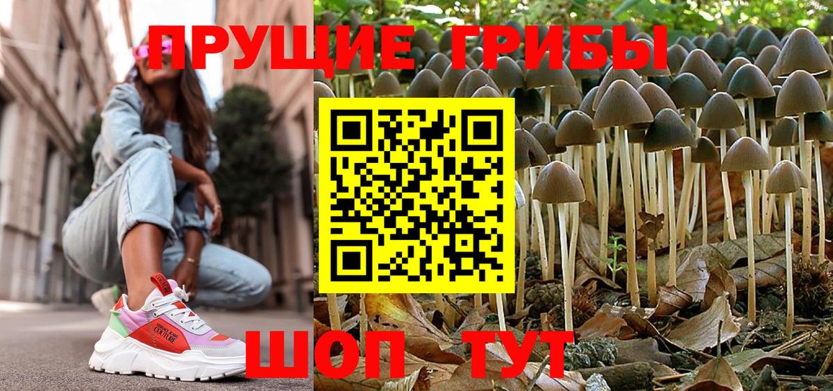 Псилоцибиновые грибы мицелий  Вход с VPN  Братск 